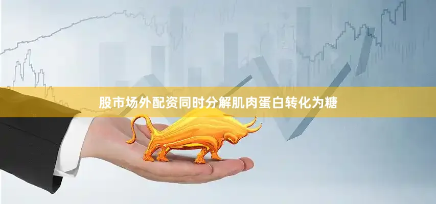 股市场外配资同时分解肌肉蛋白转化为糖