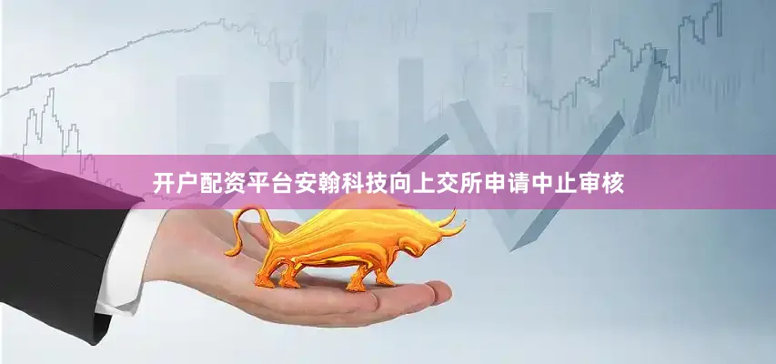 开户配资平台安翰科技向上交所申请中止审核