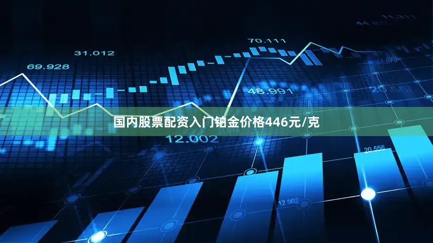 国内股票配资入门铂金价格446元/克