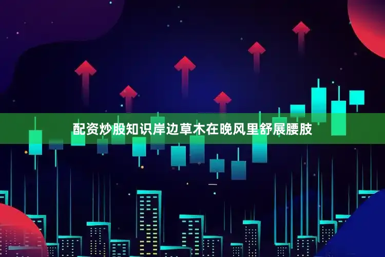 配资炒股知识岸边草木在晚风里舒展腰肢
