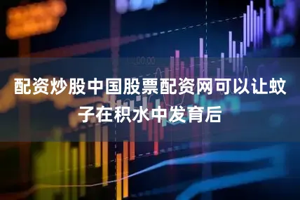 配资炒股中国股票配资网可以让蚊子在积水中发育后